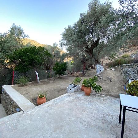 شقة House With Beautiful Garden In بلوماريوس المظهر الخارجي الصورة