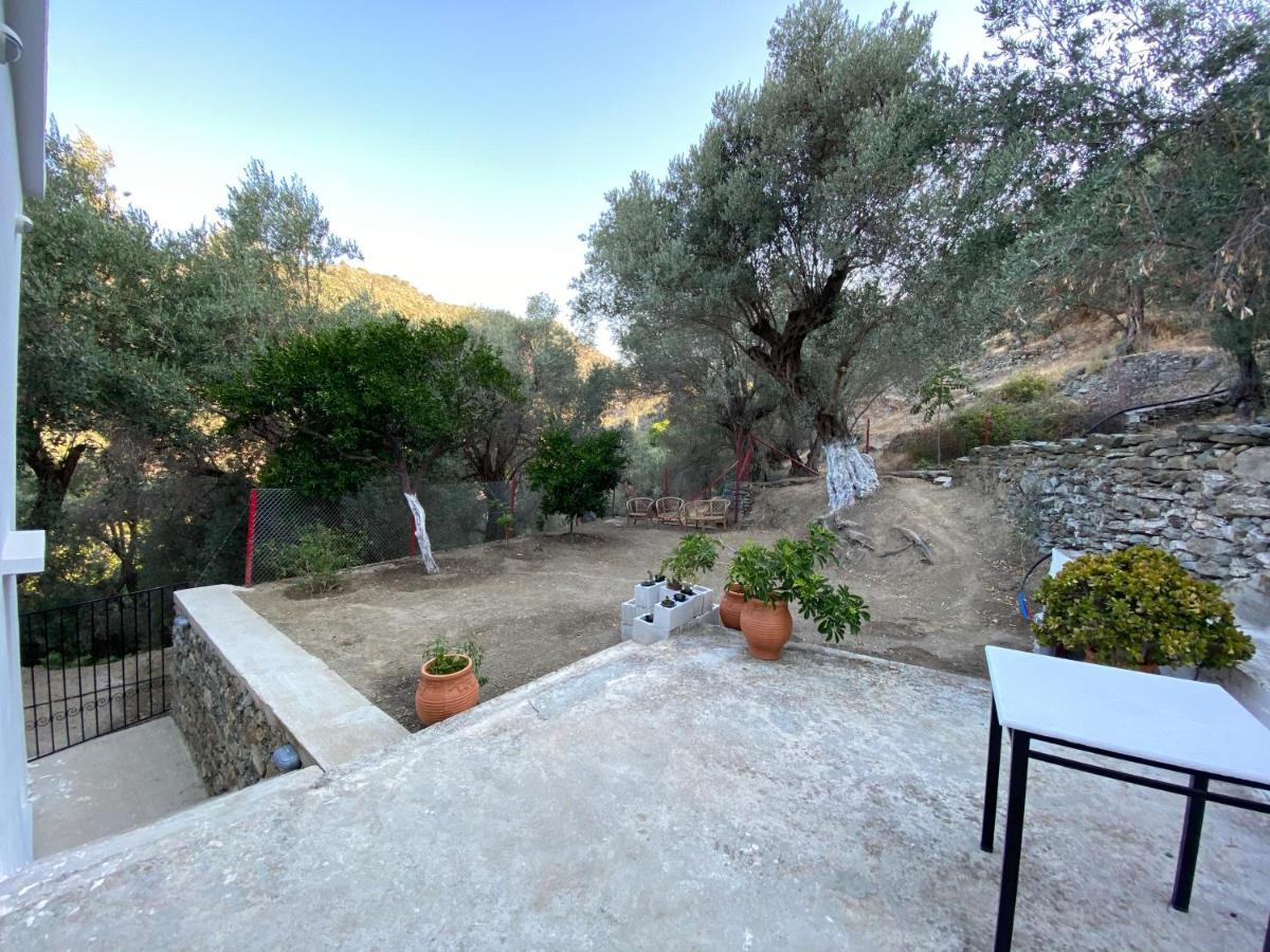 شقة House With Beautiful Garden In بلوماريوس المظهر الخارجي الصورة