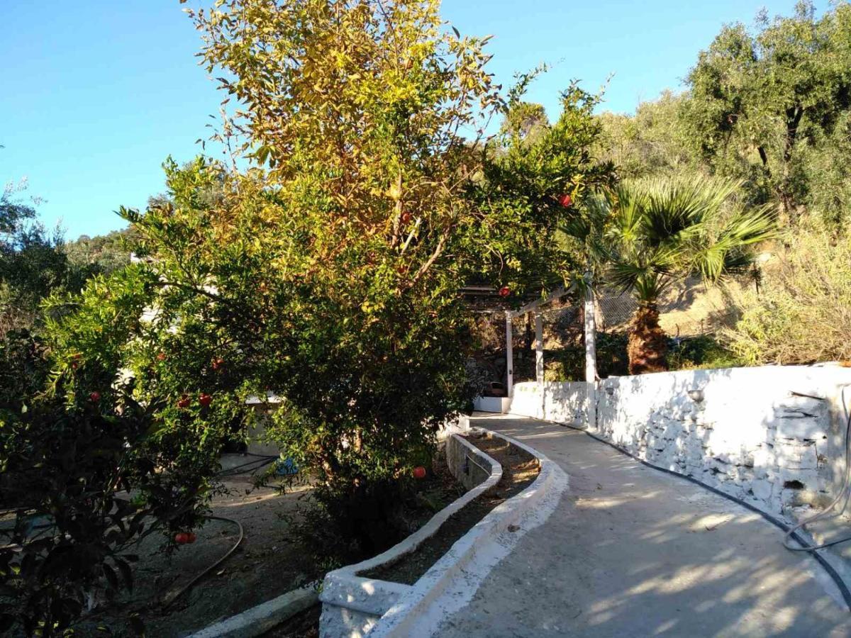 شقة House With Beautiful Garden In بلوماريوس المظهر الخارجي الصورة